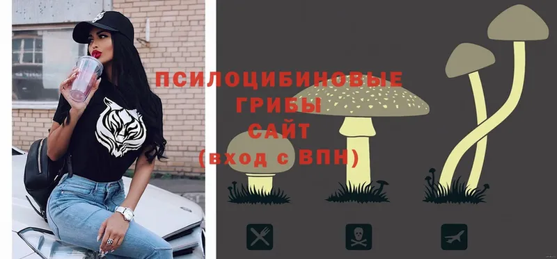 даркнет сайт  Горячий Ключ  kraken как войти  Галлюциногенные грибы Psilocybine cubensis 